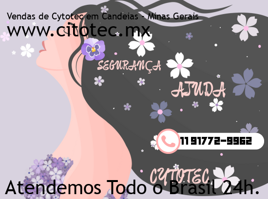 Imagem de Maria da Fé