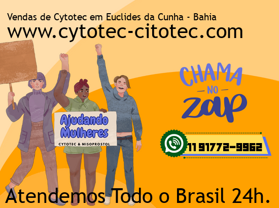 Imagem de São Jerônimo