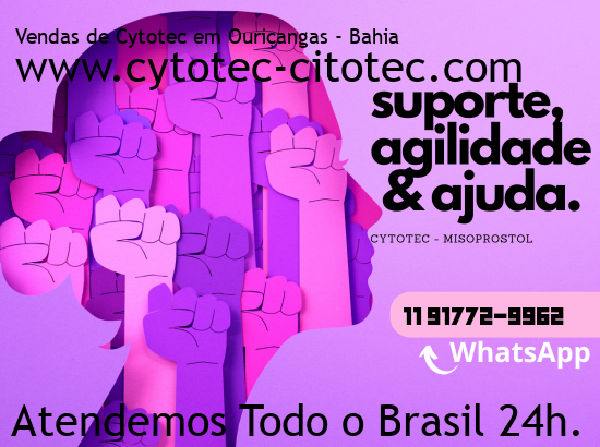 Imagem de Campos Borges