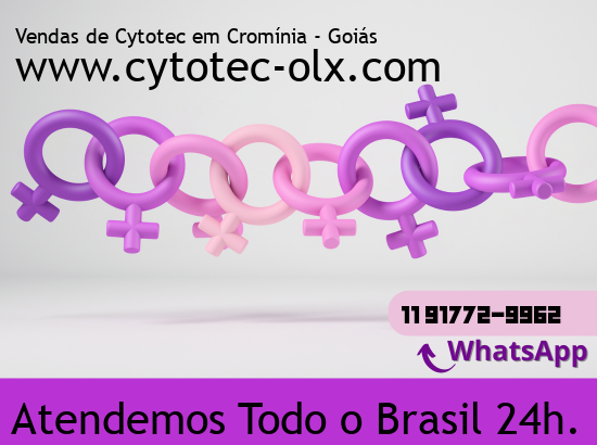 Imagem de Dolcinópolis